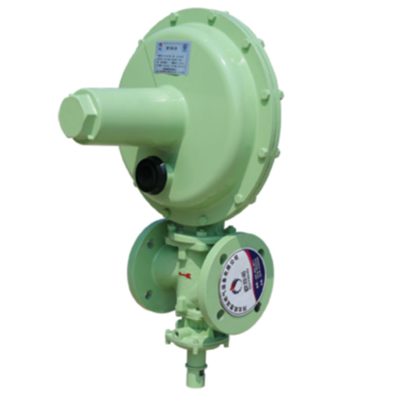 燃气调压器(合同20241428）