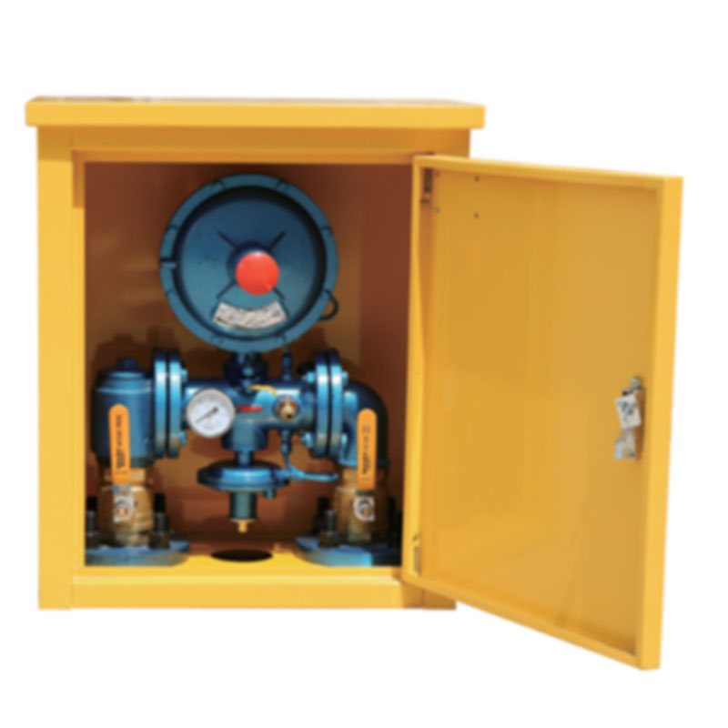 燃气调压器（合同20250677）